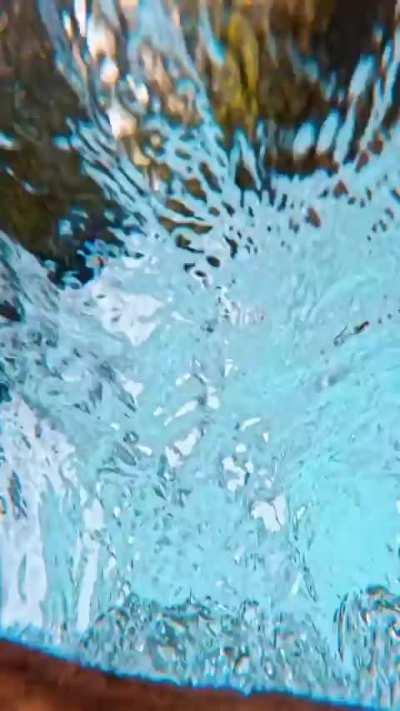 🔥 The clarity of the water in this Alaskan stream