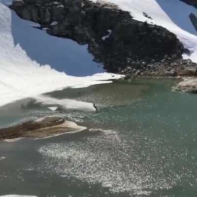 Bugs Bunny would be proud