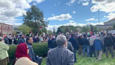 Pro-Palestine protest, Long Island, NY