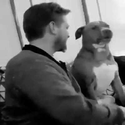 figured youd need some humor