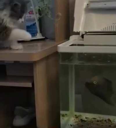 Oh how the turn tables...