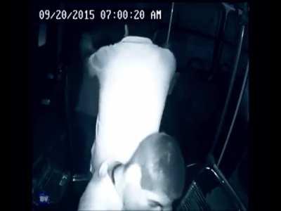 Justice served. Wholesome moment