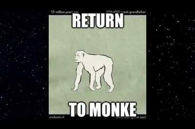 Libcenter returns to Monke