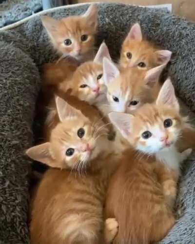 I’d love to know what goes through their heads 😀