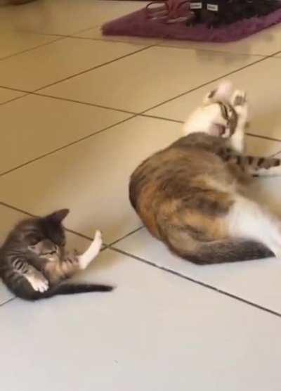 control-c, control-V