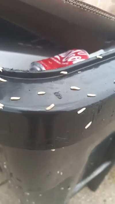 I was walking home from school yesterday day and...