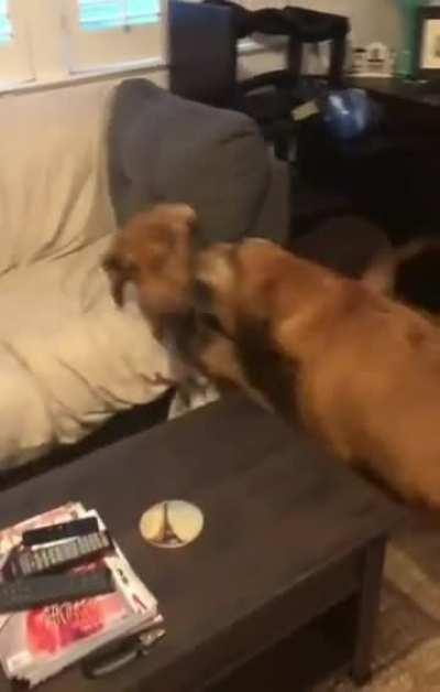 Tag, you're it. You're it again. Again. Still it.