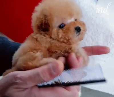 Just getting cute for the weekend