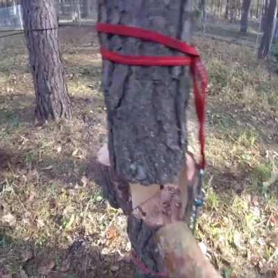 Mission failed successfully