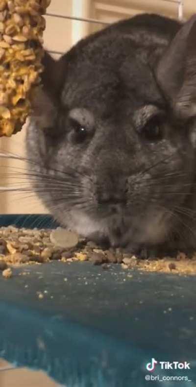 "Shut the hell up bitch".