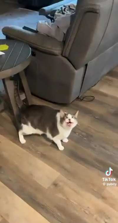 No, not my favorite toy!