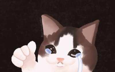 I animated the crying thumbs-up cat meme