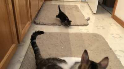 Mother. PAY ATTENTION TO ME!