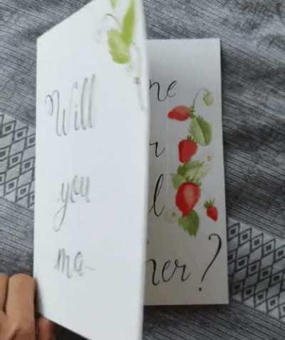 I proposed to my boyfriend!