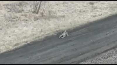 Russian soldier is struck, and possibly headshot by small arms fire