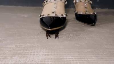 Goddess Jessica Gives Instructions on Crawfish Crushing