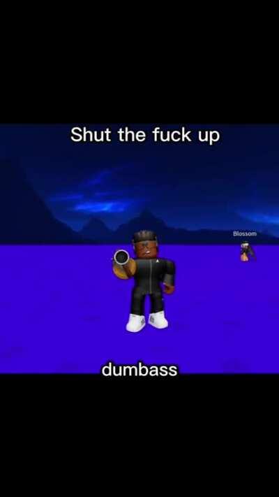 did I go too far with the insults in the edit?