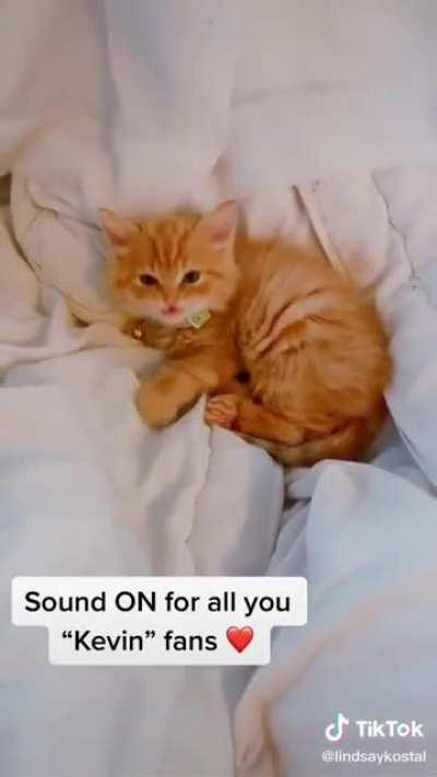 there are currently tears in my eyes for kevin 🥺