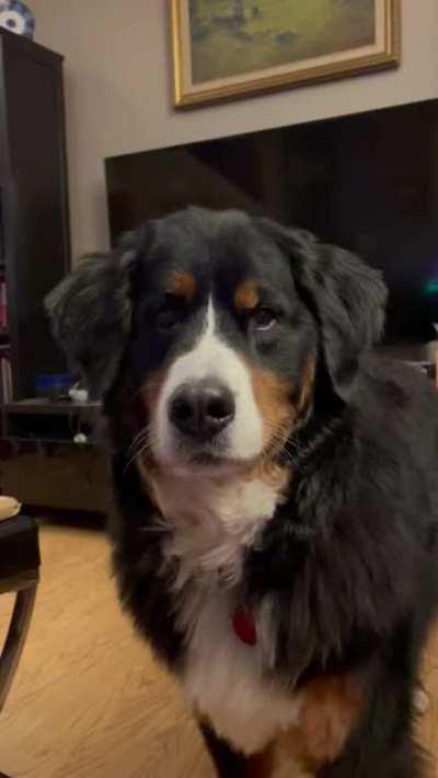 The production when she wants to go out 😂