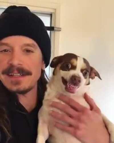 I suppose one, under certain circumstances, could consider what this dog did as a scream, and in being so, is eligible for this subreddit. And with the addition of the perfectly timed cut coinciding with the scream, is all the more eligible still.