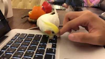 How do I explain to my boss why I didn't finish the project?