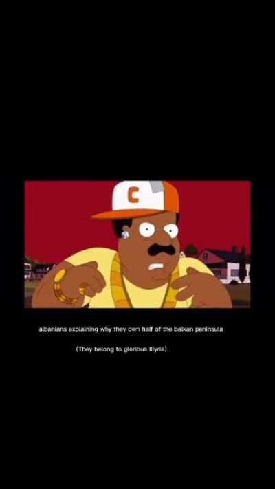 POV: 🇦🇱🦅 Ardijan 🦅🇦🇱 is typing...