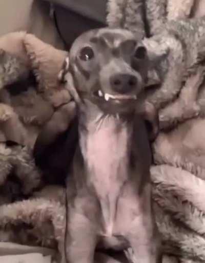 Smile for the camera