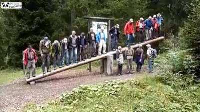 Unsupervised seniors