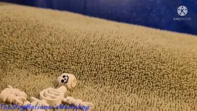 I made this stop motion on the importance of drinking milk.