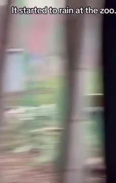 They’re just like us😂😂