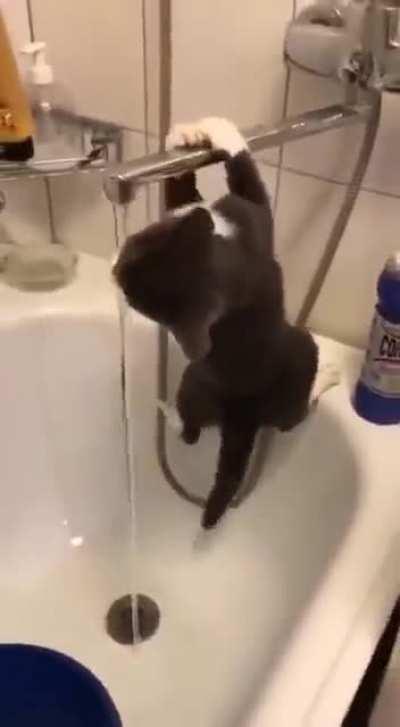 Гравитация - безжалостная ты сука