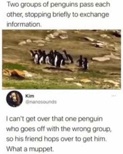 There's always one in every group