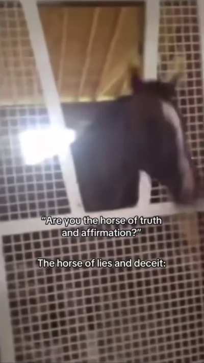 Shadow milk if he was a horse