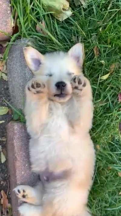 Growing up is exhausting