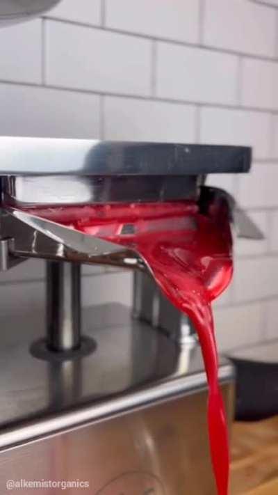making cold pressed cranberry juice