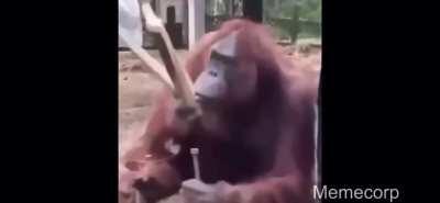 If you are having a bad day, this has never failed to make me at least chuckle