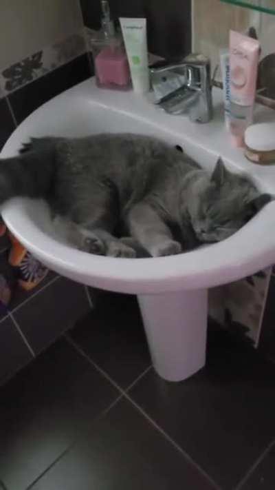 Nice place to sleep, OC