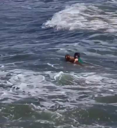 Rescate de un perro en Mar del Plata, un hombre vio que se lo llevaba la corriente y se metió al agua vestido para salvarlo