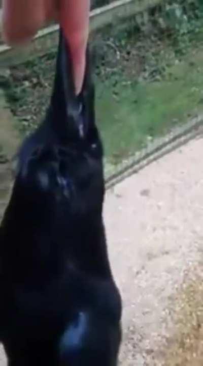 Let go of my finger please