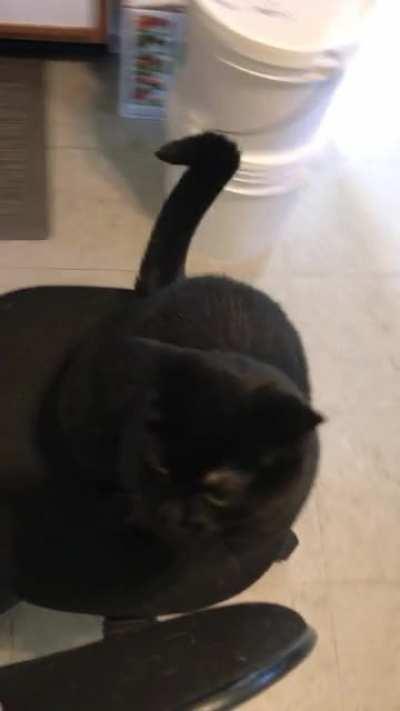 We do this almost every day and she loves it