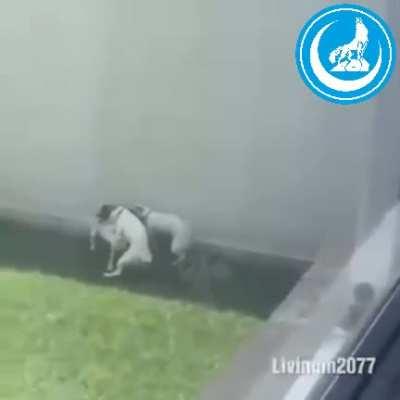 Sizler için Ülkü ocaklarına sızıp bu gizli görüntüleri çektim