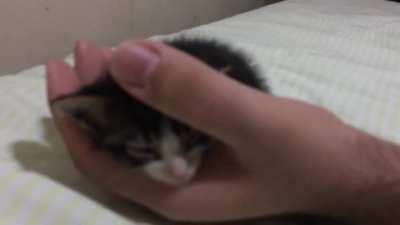 this is Apple. Apple likes hands.