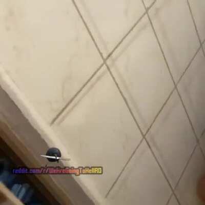 Glume de WAGTHROmanca