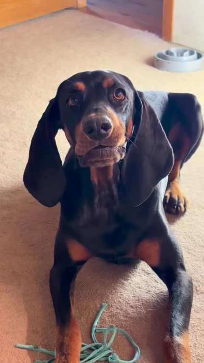 Please Play with Me!!