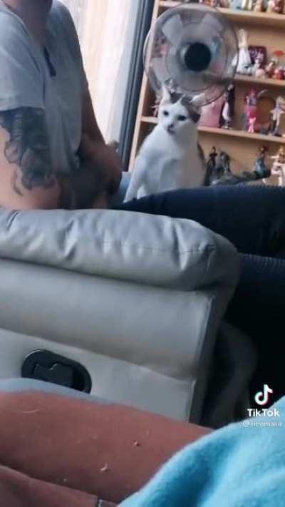 around her no one is safe