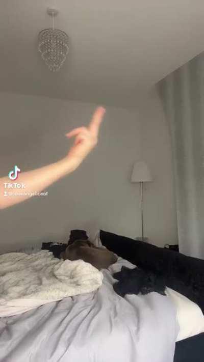 I wish I could do reveals like this on Tiktok without getting banned 🙈