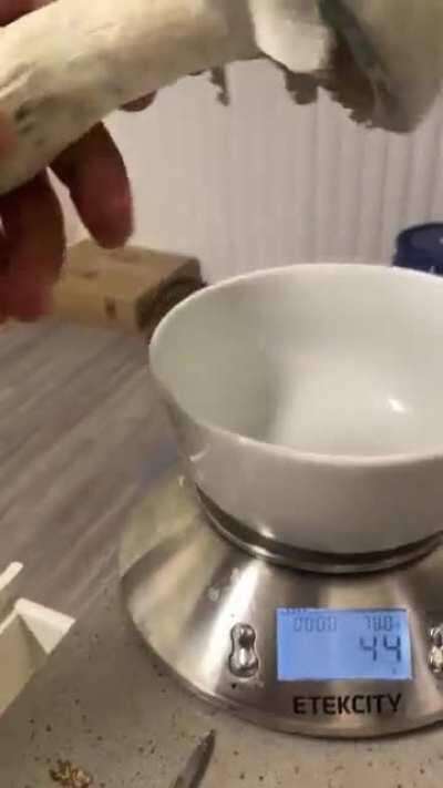 Finally hit the 100g+ club. Cat for scale