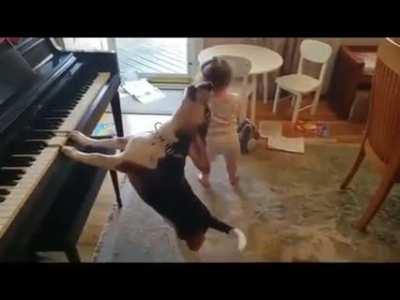 Nobody has ever had as much fun at a party as these two are having at this party