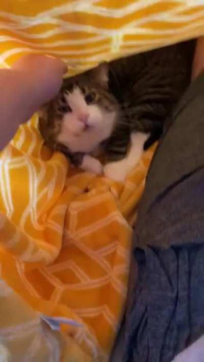 She usually hates being covered up...