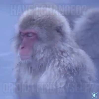 Late night 'deep thoughts' sh!tposting.